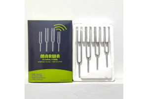 Tuning Fork